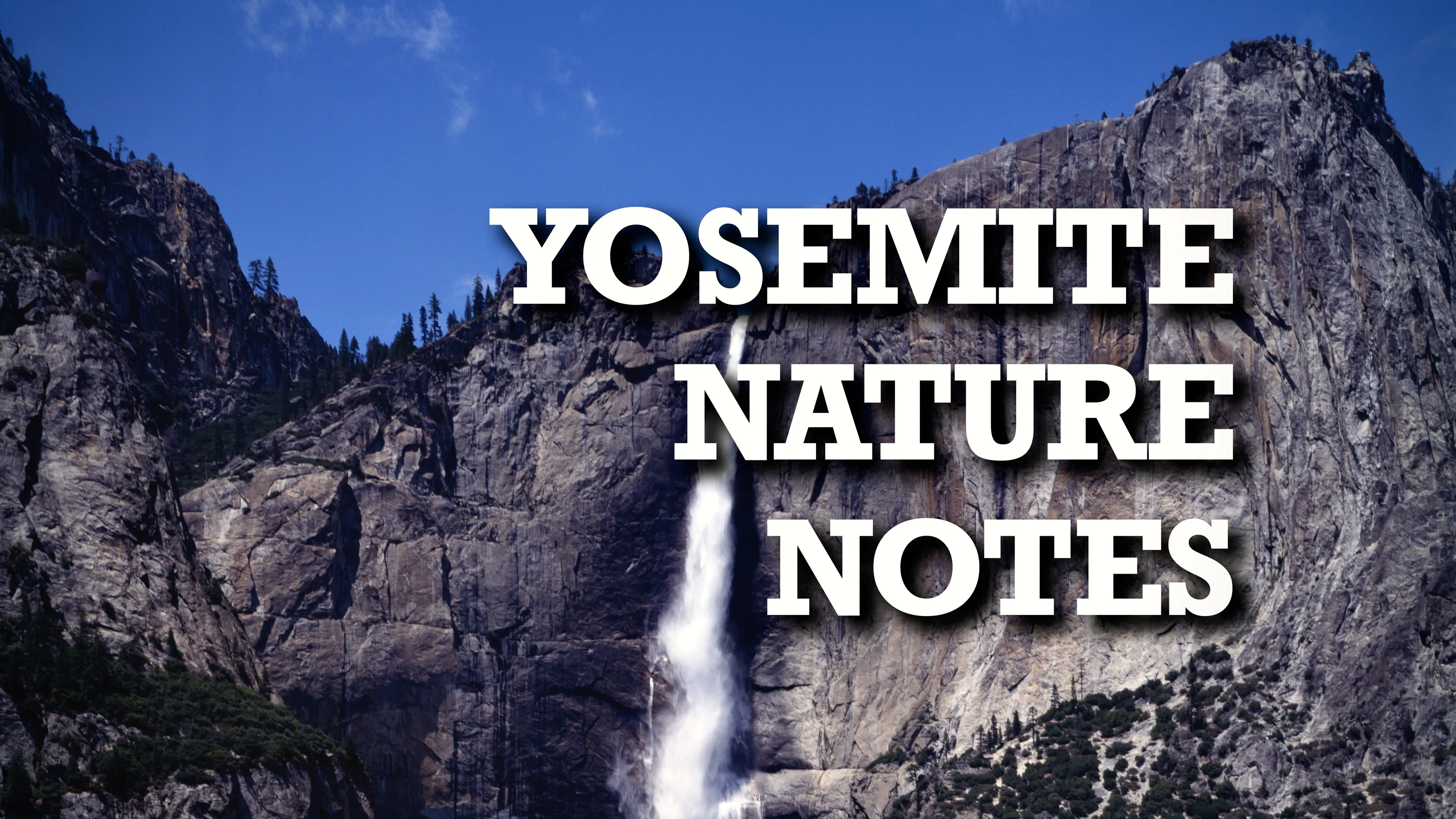 Yosemite Nature Notes poster